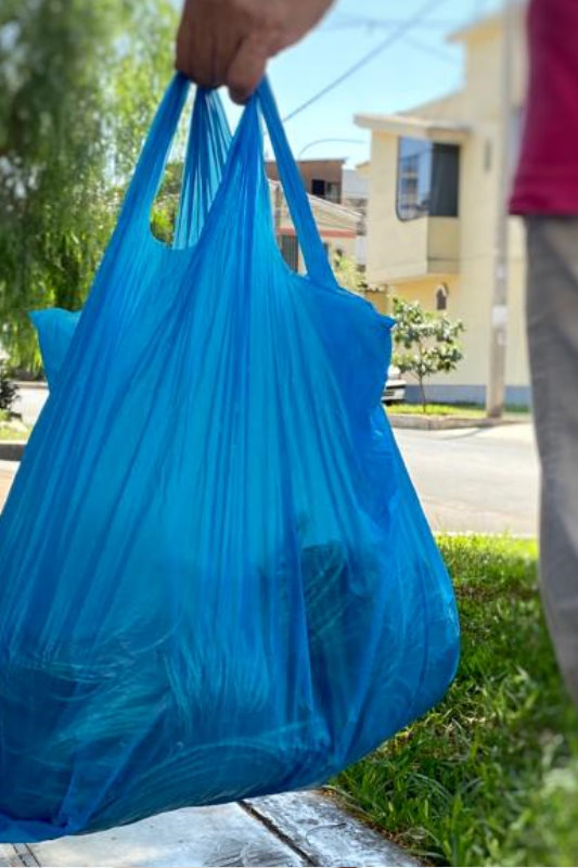 BOLSAS DE PLASTICO A